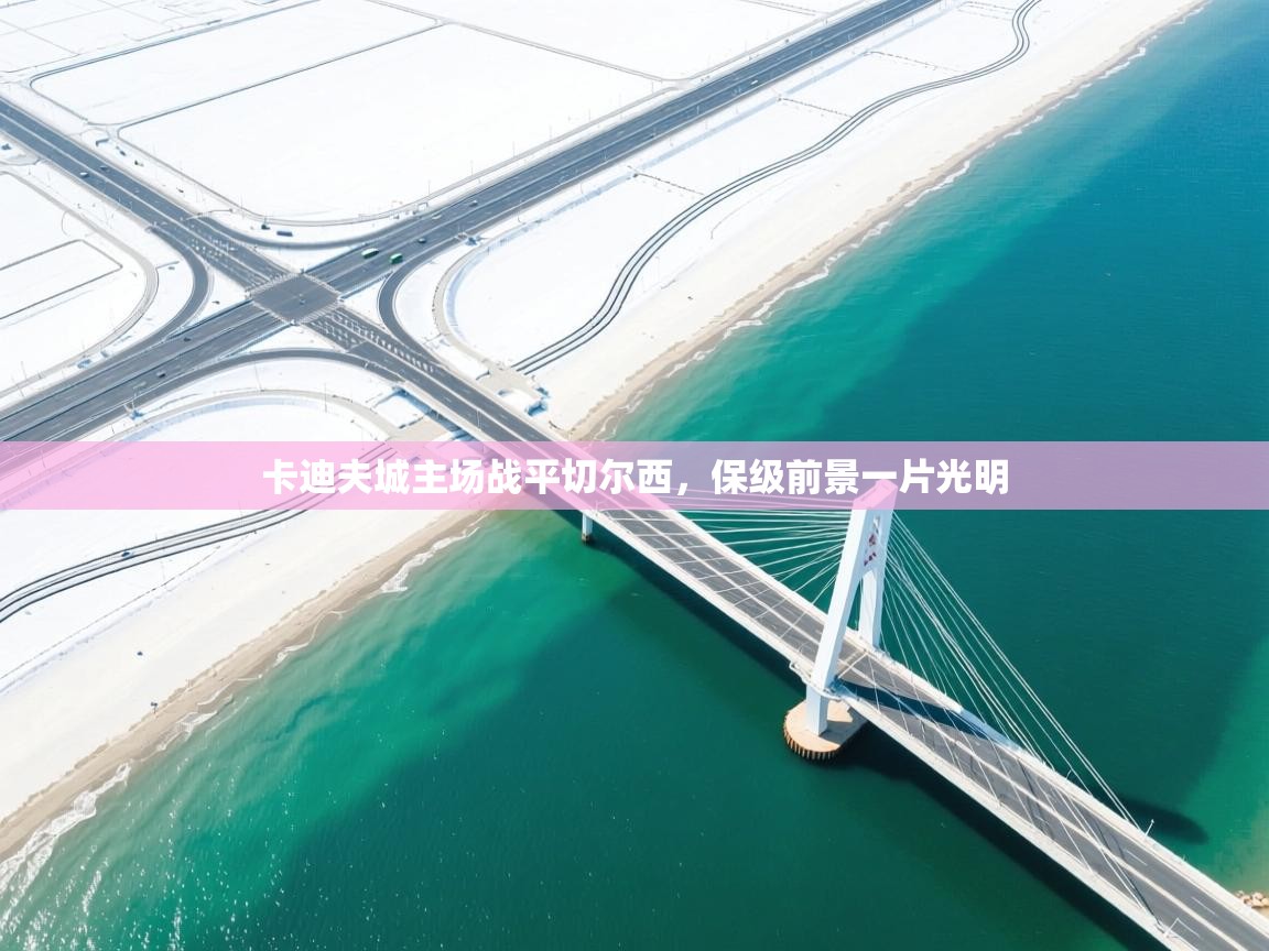 卡迪夫城主场战平切尔西，保级前景一片光明  第2张