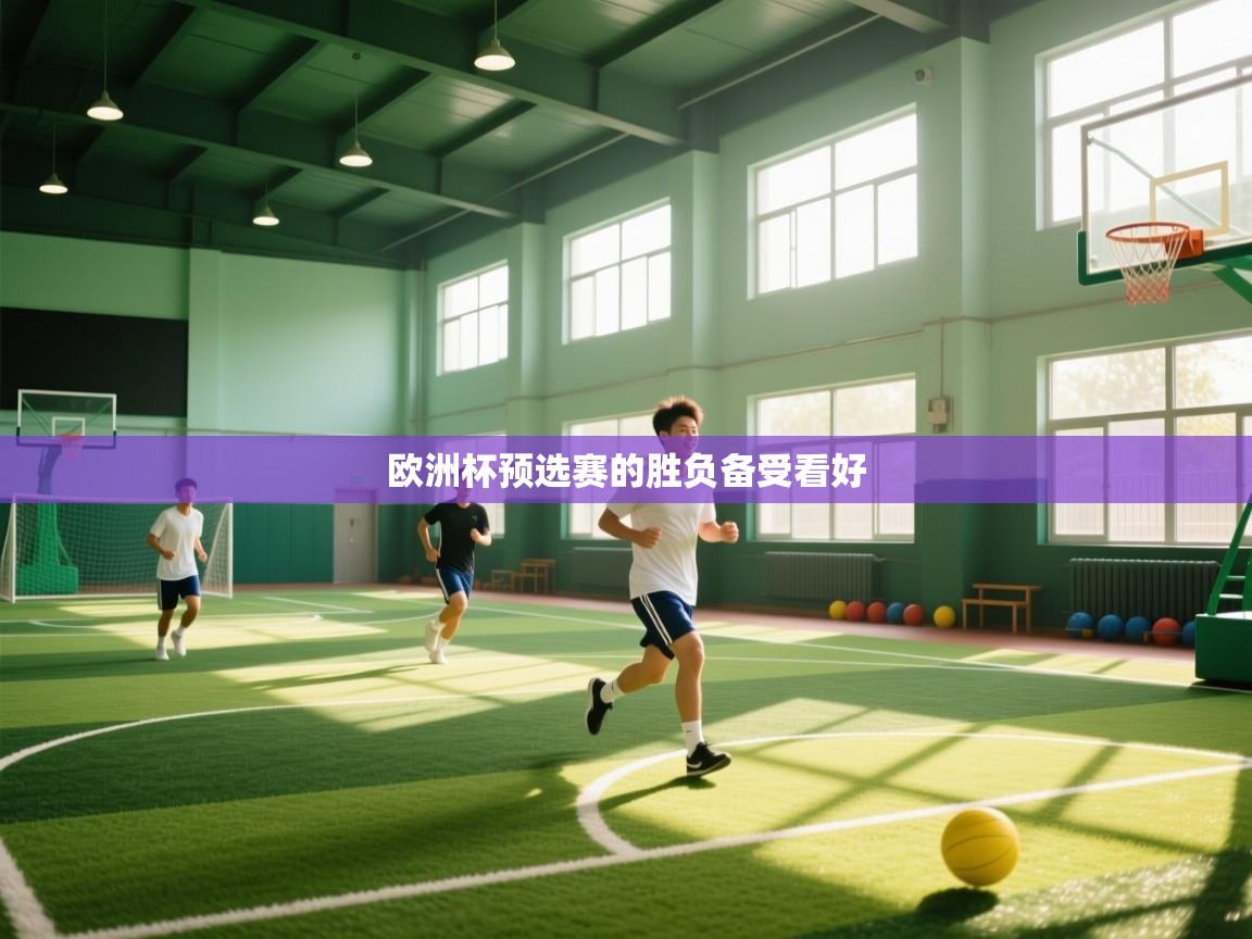 欧洲杯预选赛的胜负备受看好  第2张