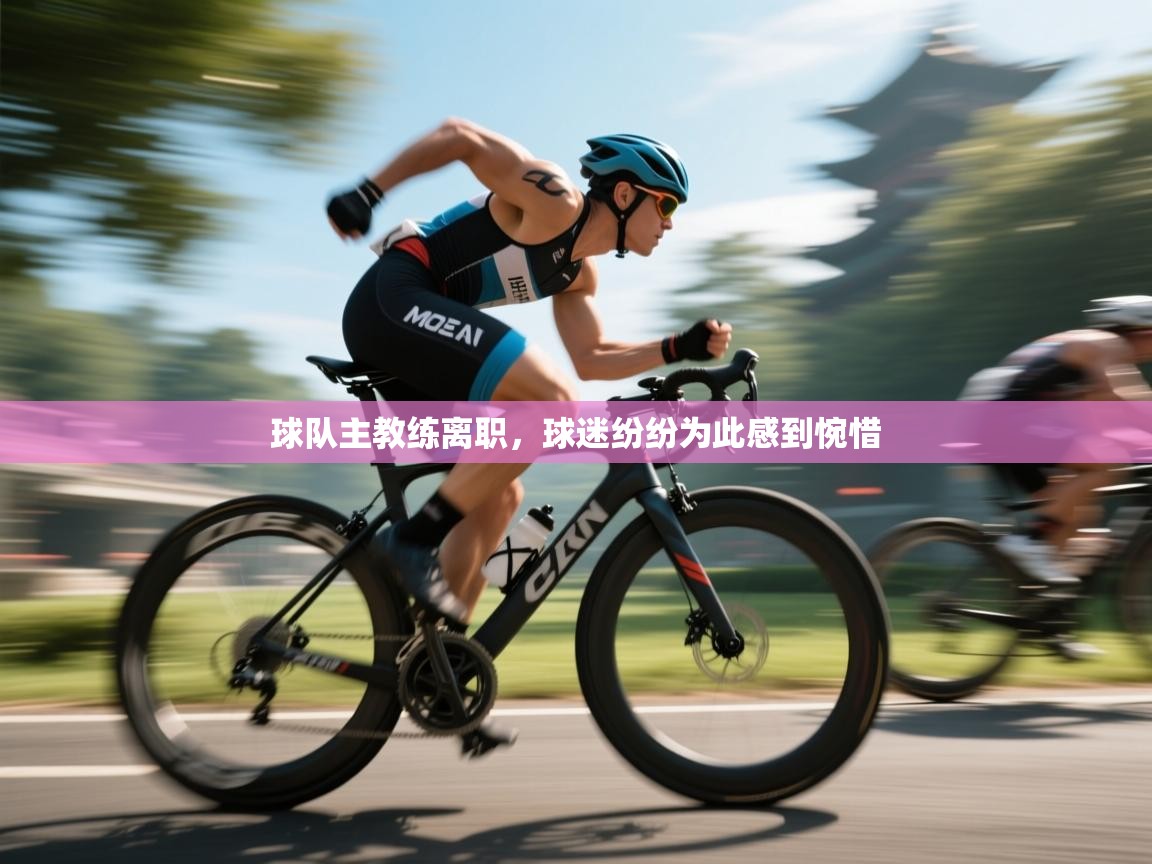 球队主教练离职,球迷纷纷为此感到惋惜 第1张