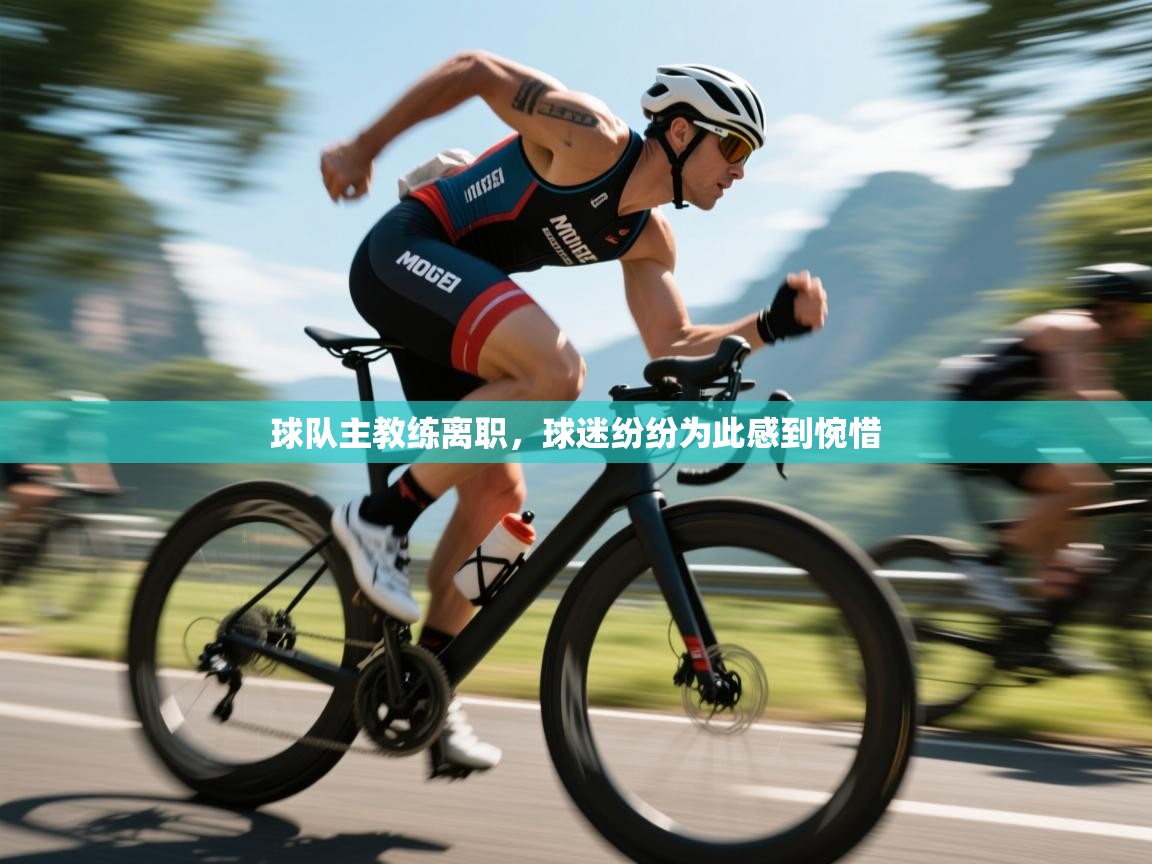 球队主教练离职,球迷纷纷为此感到惋惜 第2张