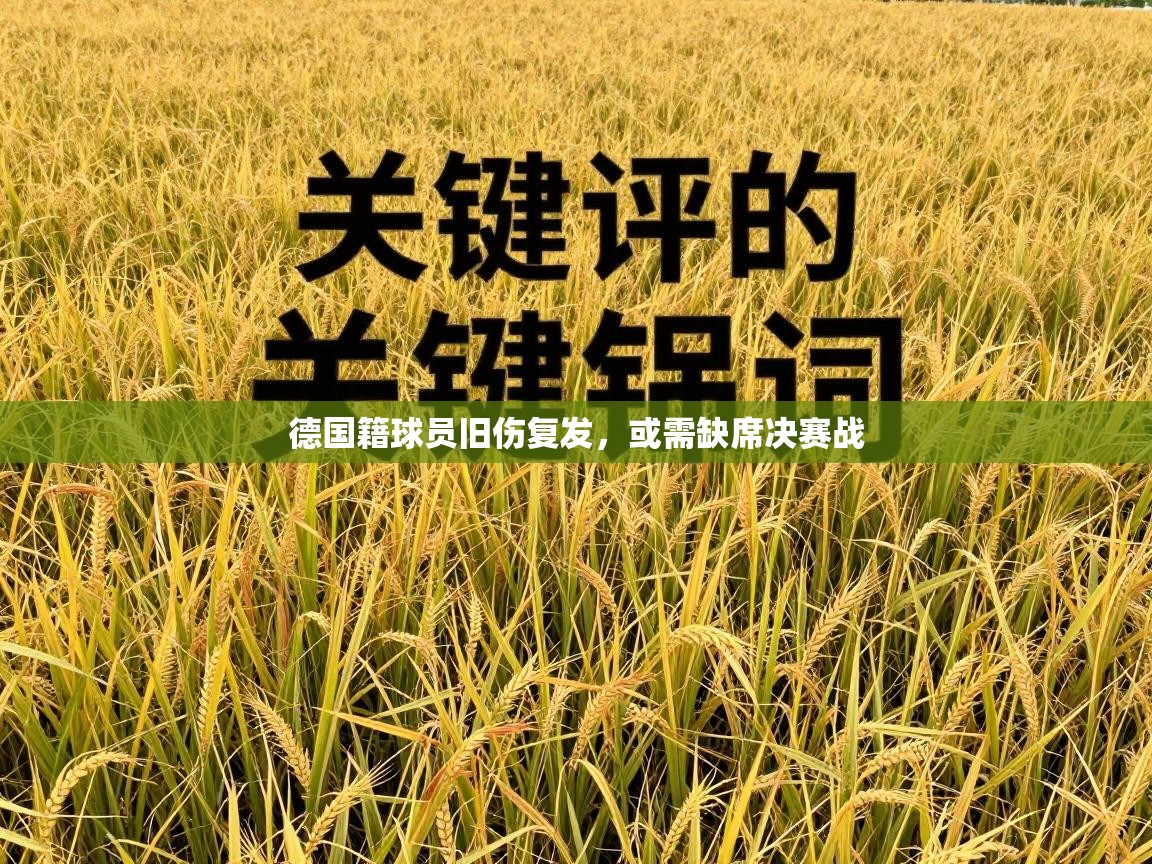德国籍球员旧伤复发，或需缺席决赛战  第2张