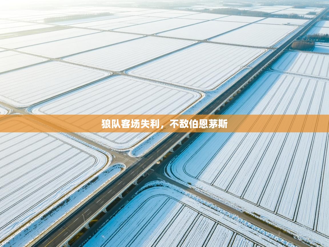 狼队客场失利，不敌伯恩茅斯