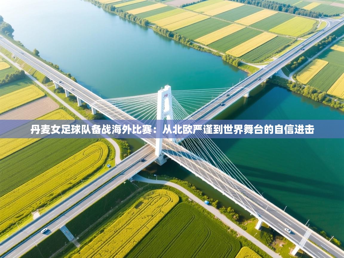 丹麦女足球队备战海外比赛:从北欧严谨到世界舞台的自信进击 第2张